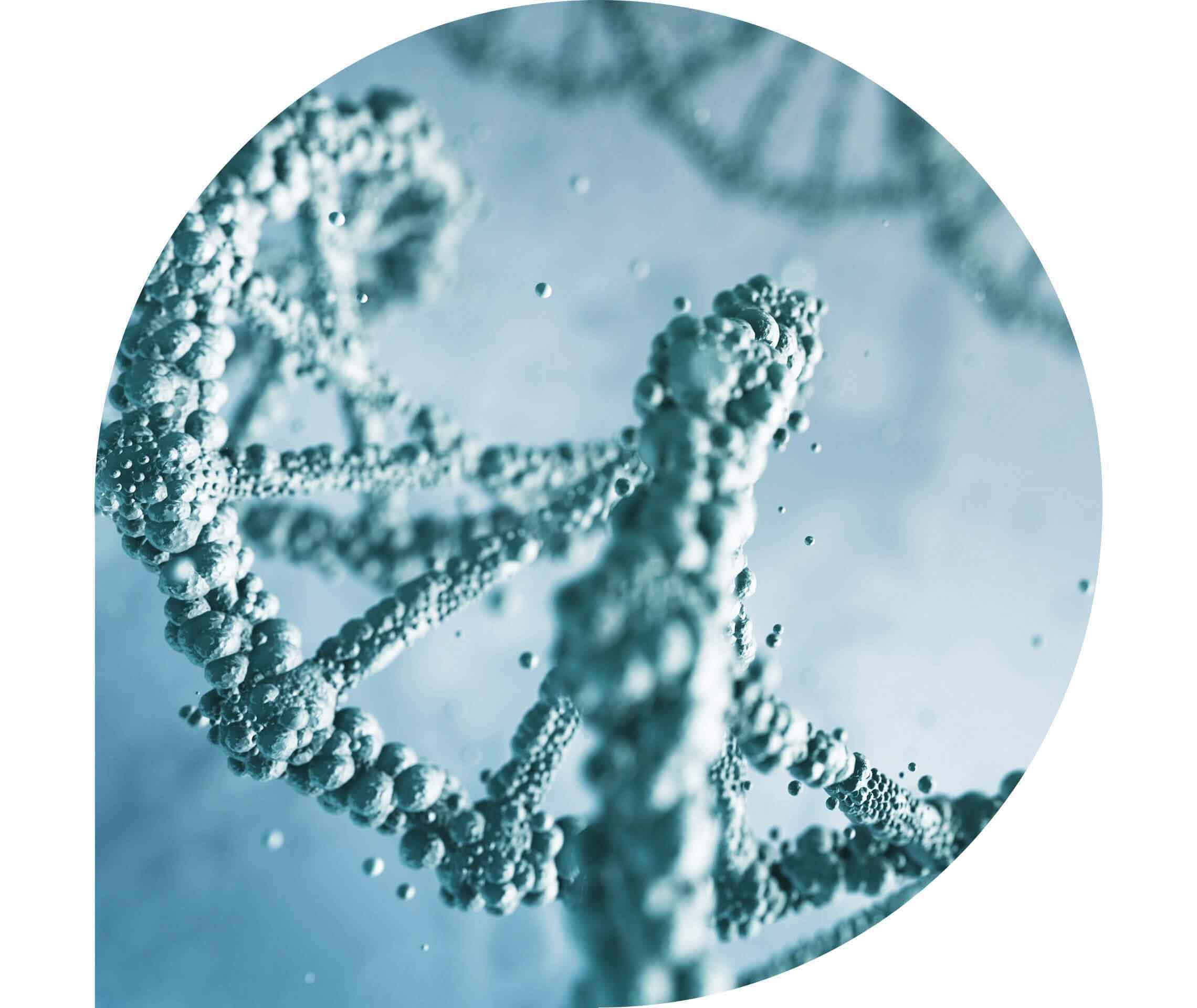 Ratgeber Rheuma: Human Leukocyte Antigen B27 unter Mikroskop
