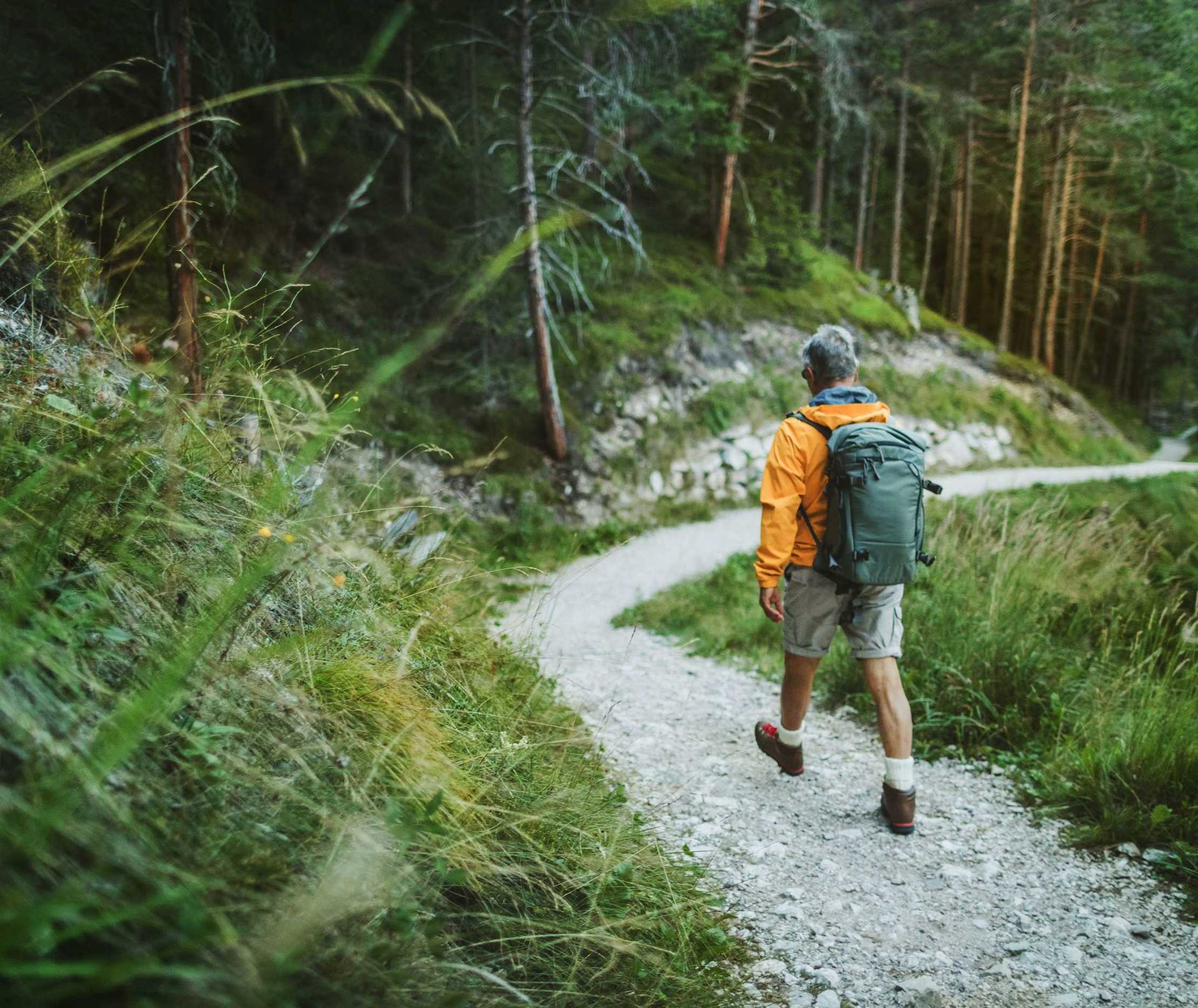 Mann mit Rucksack wandert auf einem Schotterweg im Grünen