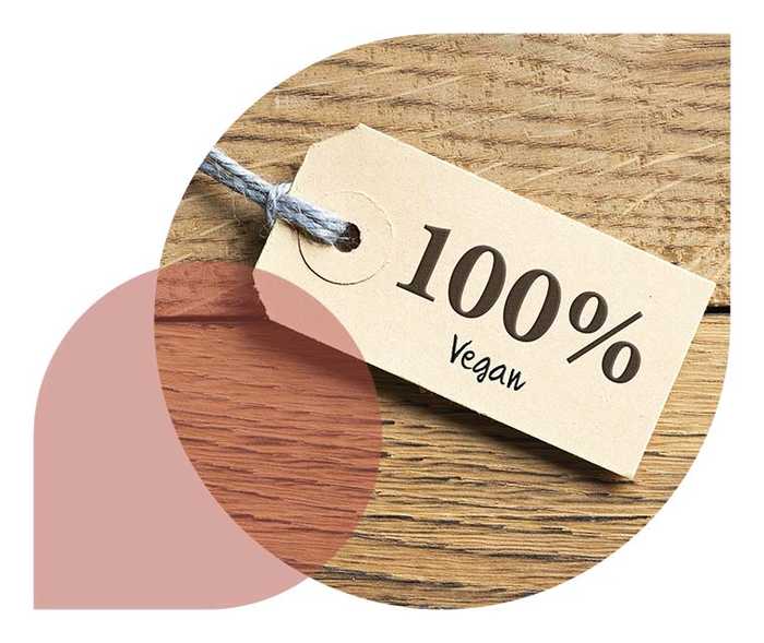 Ratgeber Rheuma: Ein Anhänger mit dem Schriftzug „100 % Vegan“ liegt auf einer Holzplatte