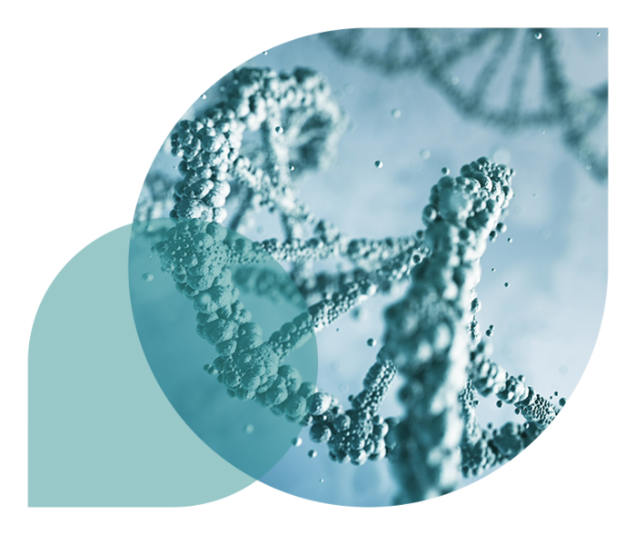 Ratgeber Rheuma: Das HLA-B27-Protein unterm Mikroskop