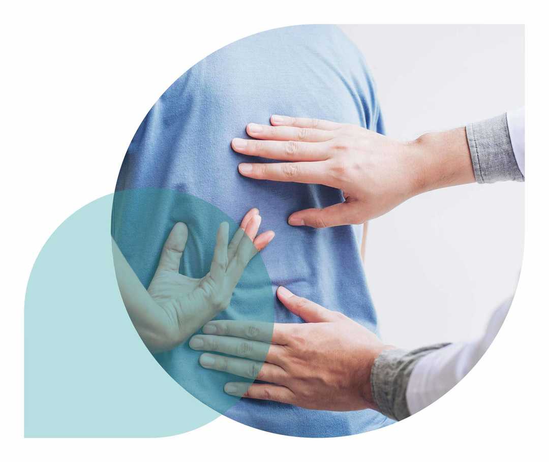 Ratgeber Rheuma: Krankheitsbild von Morbus Bechterew Zwei Hände tasten einen Rücken ab.