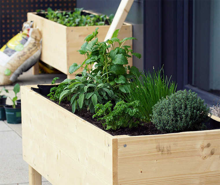 Bechterew: Zwei Hochbeete auf einer Terrasse