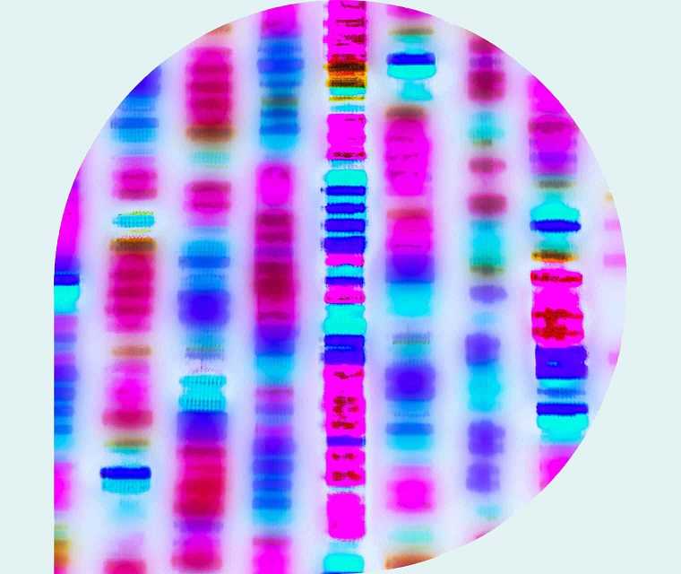 Ratgeber Rheuma: Das Eiweiß HLA-B27 unterm Mikroskop