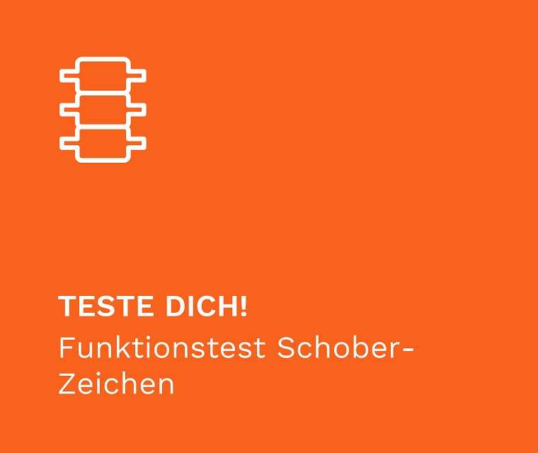 Teste Dich
