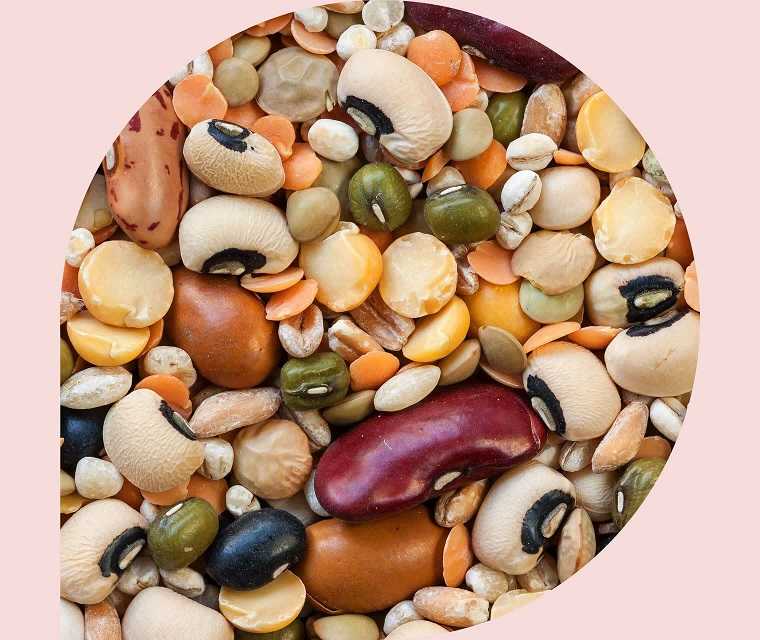 Ein Schüssel mit verschiedenen Nüssen.