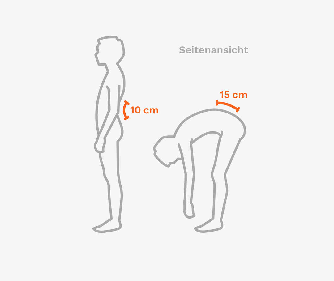 Ratgeber Rheuma: Schober-Test Grafische Darstellung der Seitenansichten eines stehenden und eines gebeugten Menschen mit Markierungen für Abstände von 10 und 15 Zentimetern.