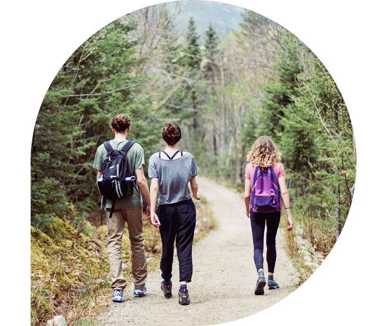 Ratgeber Rheuma: Ein Mann und zwei Frauen wandern durch einen Wald