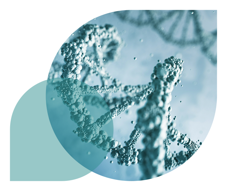 Ratgeber Rheuma: Das HLA-B27-Protein unterm Mikroskop