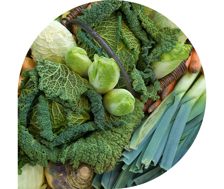 Frisches grünes Gemüse wie Wirsing auf einem Tisch