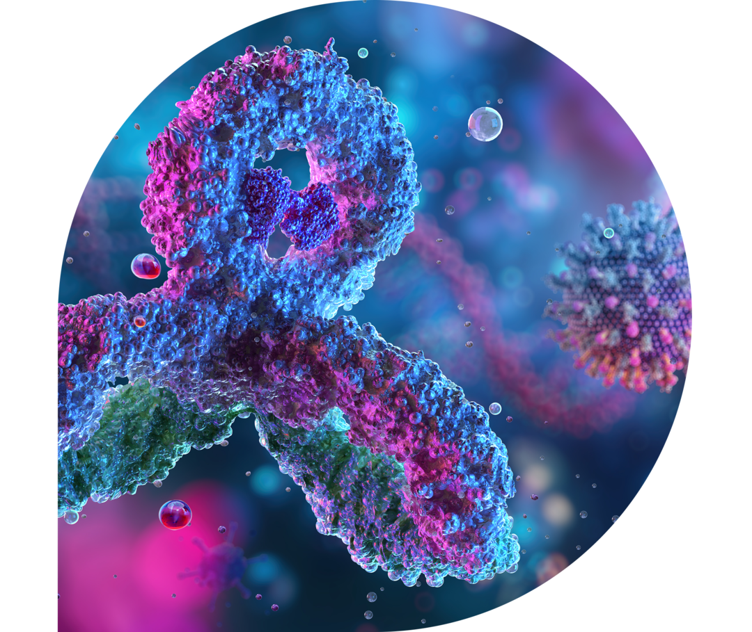 Ratgeber Rheuma: Ursachen des Sjögren-Syndroms Schematische Darstellung von Körperzellen.